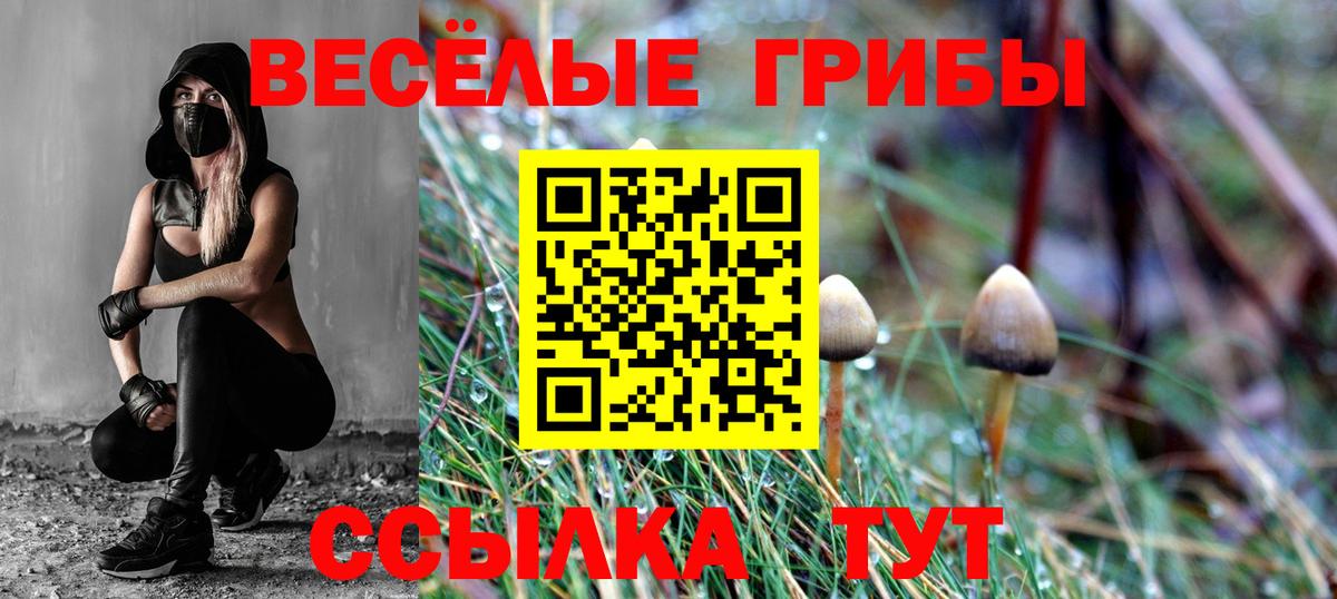 Вязьма  Галлюциногенные грибы MAGIC MUSHROOMS  Вход с VPN 